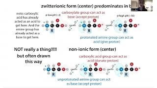 The zwitterionic life of amino acids [upl. by Lam]