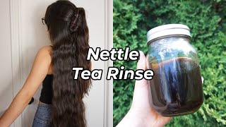 Nettle Tea Rinse for Healthy Hair  Scalp  Summer Growth Challenge ♡ [upl. by Arbas297]