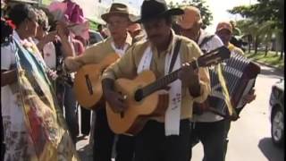 Folia de Reis é tradição da cultura popular  Repórter Brasil noite [upl. by Airehc]