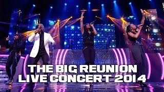 ETERNAL FT BEBE WINANS  I WANNA BE THE ONLY ONE THE BIG REUNION LIVE CONCERT 2014 [upl. by Lomaj]