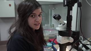 Maggie Georgieva talks about polychaete worms [upl. by Eissat]