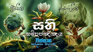 පට්ඨාන දේශනා 04  සහනදායී ජීවිතයකට │Ven Dalugama Samithagnana Thero │Buddhist Cultural Center [upl. by Salta792]