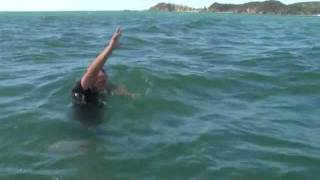 Survive Man Overboard  Boat Safety in NZ Maritime New Zealand [upl. by Stoffel]