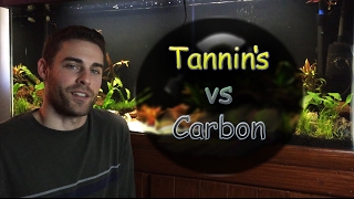 Tannins Carbon Planted Aquarium How effective is GAC and should you use it [upl. by Aehtla]