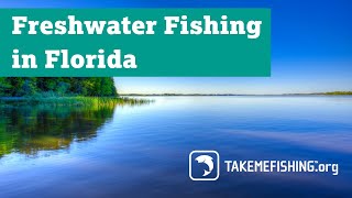 Freshwater Fishing in Florida  Where to Fish [upl. by Beitris747]