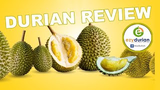 Ezy Durian Review 2024 [upl. by Aniv]