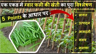 ग्वार फली की खेती कब और कैसे करें  Cluster Beans Farming In India  How to Grow Cluster Beans [upl. by Stempson123]