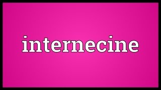 Internecine Meaning [upl. by Amsab]