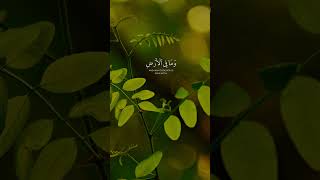 Ayatul kursi surah🫀Beautiful recitation of Quran lovequrankarim shorts alkarimalrahim [upl. by Jona560]