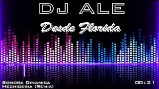 SONORA DINAMICA  HECHICERIA REMIX  DJ ALE DE FLORIDA [upl. by Sande]