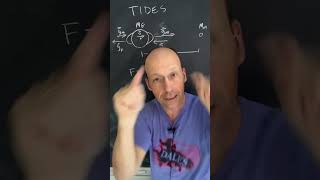 What causes the tides and why are there 2 physics astronomy physicsteacher forces gravity [upl. by Nlocnil]