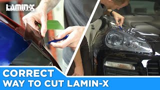 Laminx Correct Way to Cut [upl. by Ydissac401]