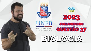 UNEB 2023  Questão 37  Examinando ao microscópio células somáticas de um organismo diploide 2n  2 [upl. by Aigneis]