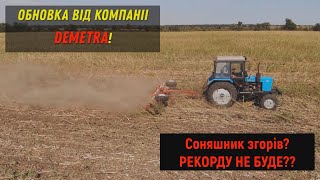 Рекорду не буде Лущимо палку Соняшника РУБЯЧИМ КАТКОМ від Demetra [upl. by Girardo]