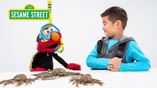 Sesame Street Elmo and Kids Meet a Marine Biologist featuring hihokids [upl. by Giacamo]