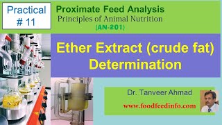 Practical11 Ether Extract crude fat Determination [upl. by Hy]