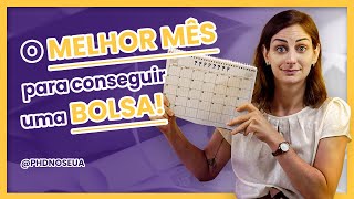 Bolsa nos EUA qual o melhor mês para fazer sua inscrição  PHDNOSEUA [upl. by Tawney193]