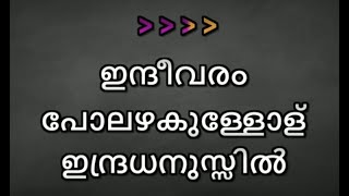 Indeevaram Karaoke With Lyrics  Vedikkettu [upl. by Kariotta]