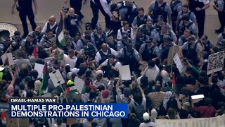 54 arrested after protest blocks I190 near Chicago OHare Airport Loop march stops traffic [upl. by Enilrem82]