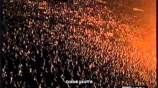 Zucchero  Pane e sale Live 1995 [upl. by Gerhan]