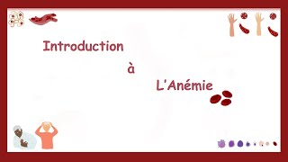 Érythropoïèse Et Anémie Introduction Hématologie [upl. by Lefty984]