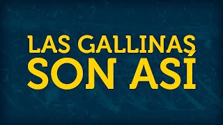 LAS GALLINAS SON ASÍ ► con letra [upl. by Olivann102]