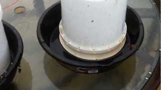 DIY Chicken Feeder and Waterer [upl. by Appilihp]