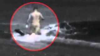 Killer Whale Attacks Man On Beach  WARNING Graphic [upl. by Koran]