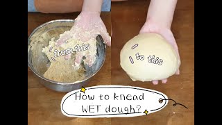 How to hand knead a WET dough Hand kneading technique for beginners [upl. by Aihppa]