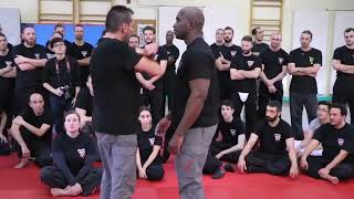 Fred Mastro Mastro Defence System MDS Technique Compilation [upl. by Thurman]