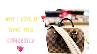 Why I ❤️ it  Louis Vuitton Speedy 20 Damier Ebene [upl. by Neirrad]