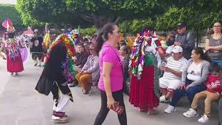 Copándaro Michoacán y su festival de las almas y las flores [upl. by Acissj742]