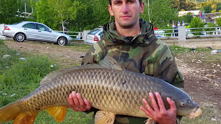 Peshkimi i krapit 15 kg në liqenin e Vermicës Carp Fishing 33 lbs [upl. by Nuhsar]