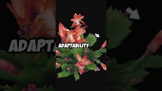 Adaptability Embracing Change [upl. by Holms]