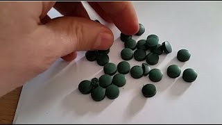 Fałszywa spirulina WTF [upl. by Carmon]