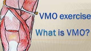 What is vastus medialis obliqueVMOexercise for VMO l part 1 [upl. by Lyred]