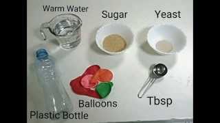 Fermentation of sugar by yeast cells [upl. by Lawan989]