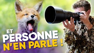 Le MEILLEUR réglage pour la photo animalière [upl. by Shaia]