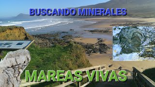 Buscando MINERALES con MAREAS VIVAS [upl. by Bello723]