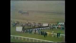 1979 Piper Champagne Cheltenham Gold Cup Chase [upl. by Neumark]