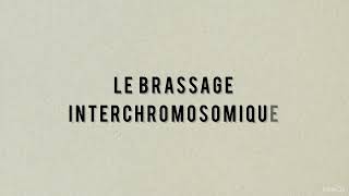 BRASSAGE INTERCHROMOSOMIQUE Gagne des points pour ton bac de SVT avec ce schéma guidé et réalisable [upl. by Kal671]