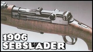 Selbstlader 1906 Shooting In Slow Motion [upl. by Onivag]