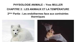 Chapitre 22 Les animaux endothermes face aux contraintes thermiques [upl. by Reginauld403]