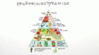 Die Ernährungspyramide  Biologie  Humanbiologie [upl. by Yekciv]