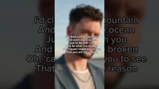 Shorts You are the reason  Calum Scott  lyrics [upl. by Specht477]