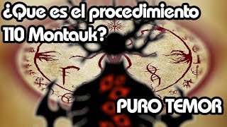 SCP RELATO ¿Que es el procedimiento 110 Montauk PURO TEMOR [upl. by Ichabod]