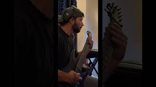 Chelsea grin cheyne stokes cover [upl. by Hoj25]