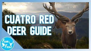 Cuatro Colinas Red Deer Hotspot Guide  theHunter  Call of the Wild [upl. by Yenatirb129]