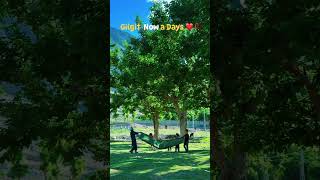 Gilgit ❤️ song music [upl. by Ruenhcs105]