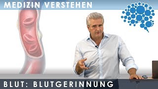 Die Blutgerinnung  Brandaktuell │Dr Dr Damir del Monte│Encephalon MedizinVideos bei Lecturio [upl. by Trovillion525]